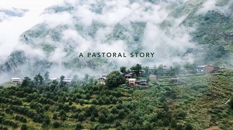 A Pastoral Story