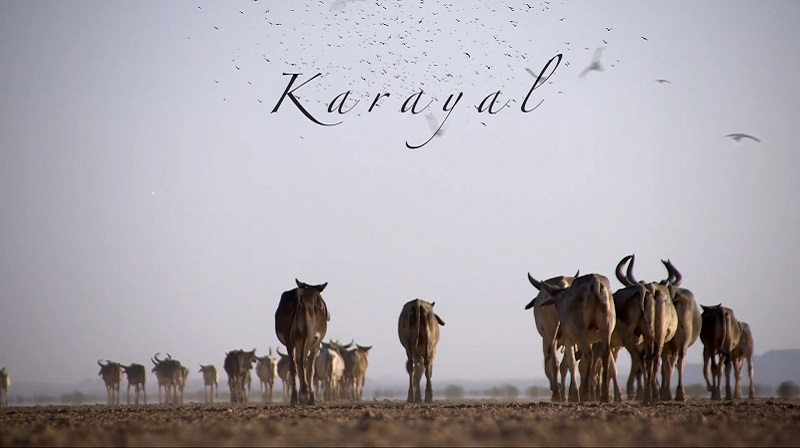 Karayal (Swan Story)