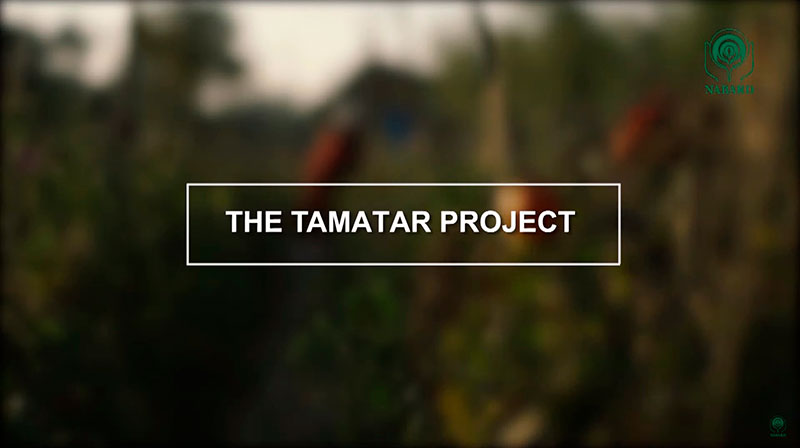 The Tamatar Project